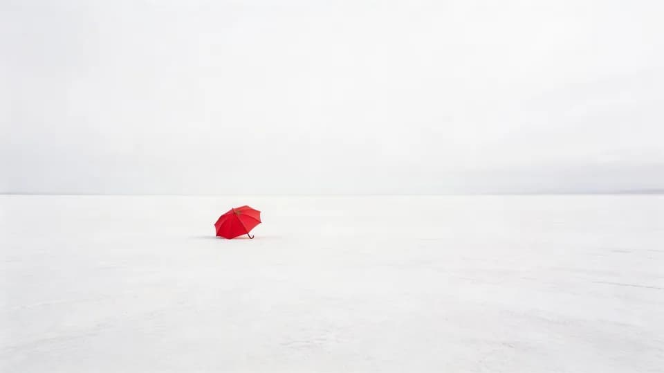 Red Umbrella Seedream 5.0 Pro prompt example