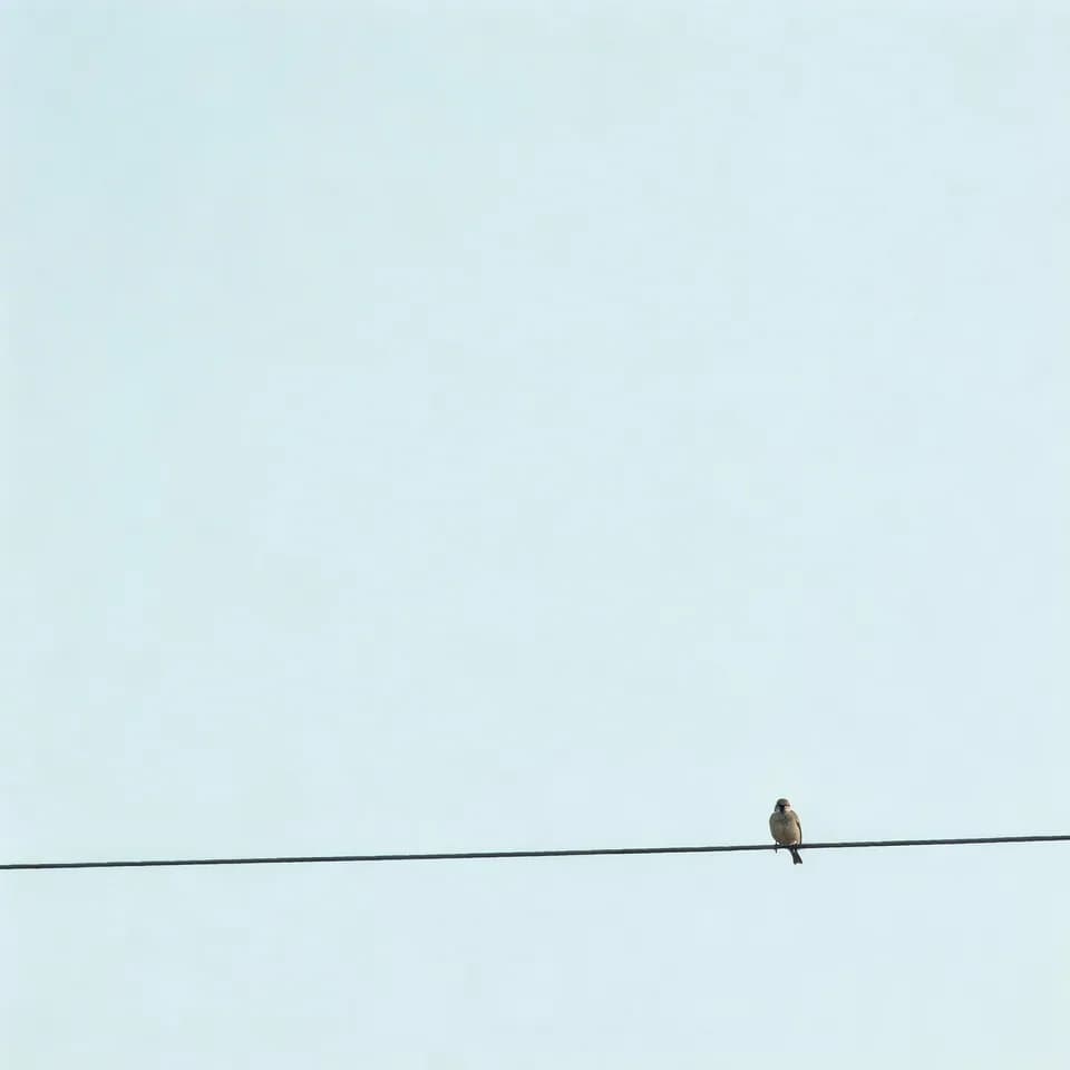 Bird on Wire Seedream 5.0 Pro prompt example